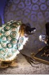 New Media Film Festival